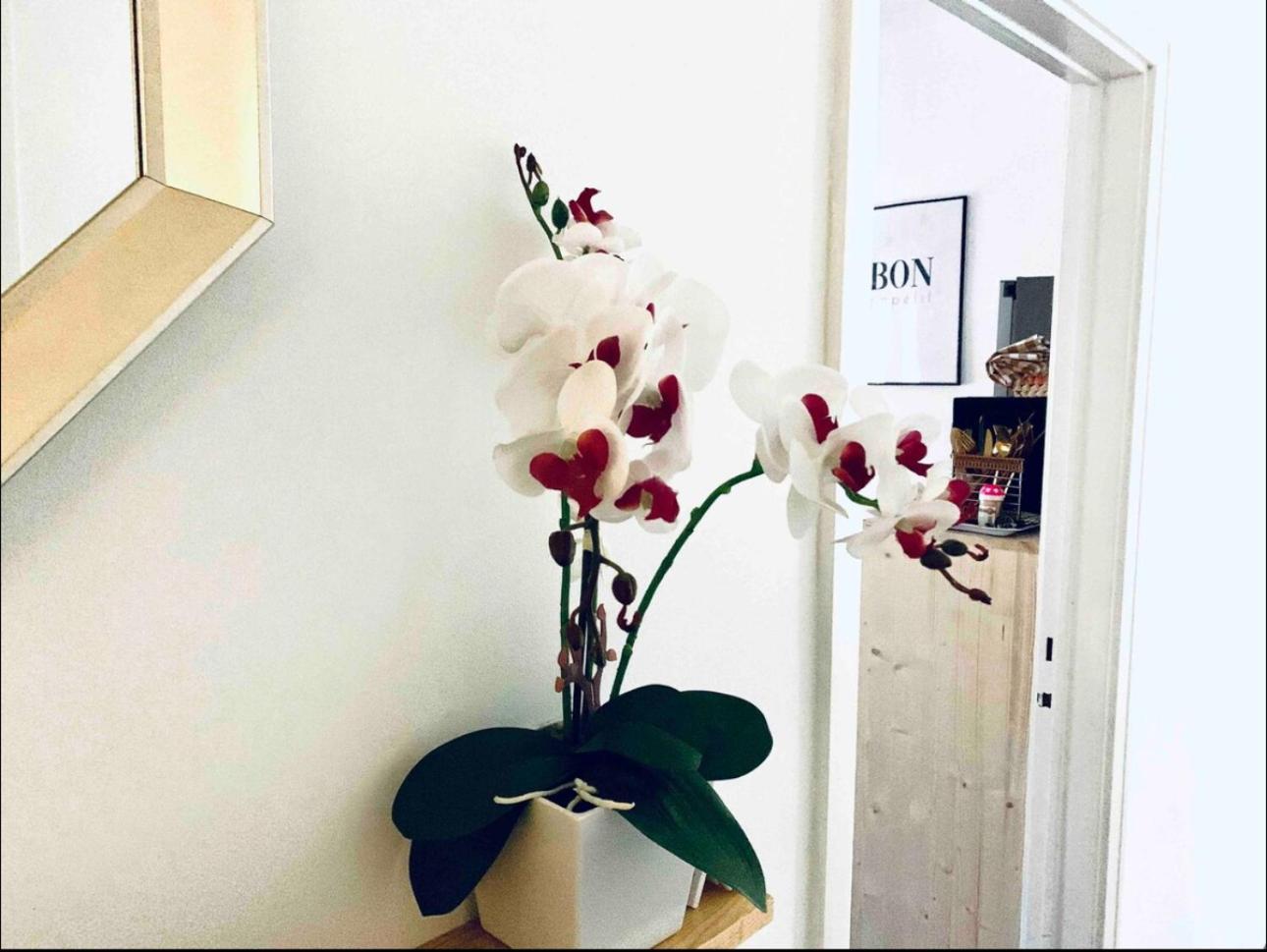 Self-Check In Sunny & Charming Apt 科英布拉 外观 照片